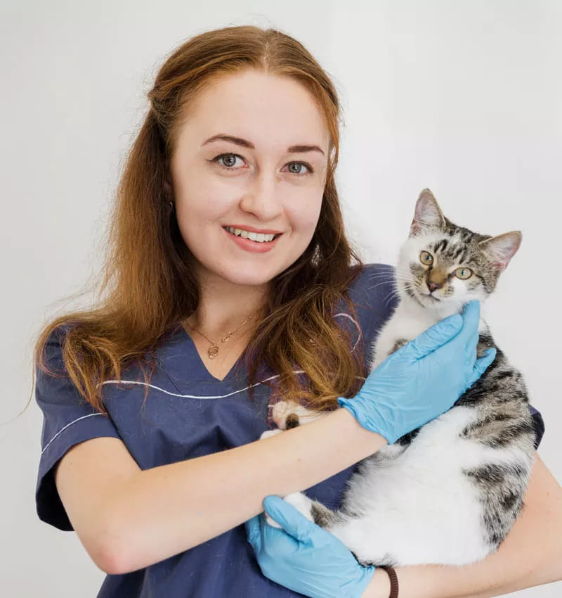doctora